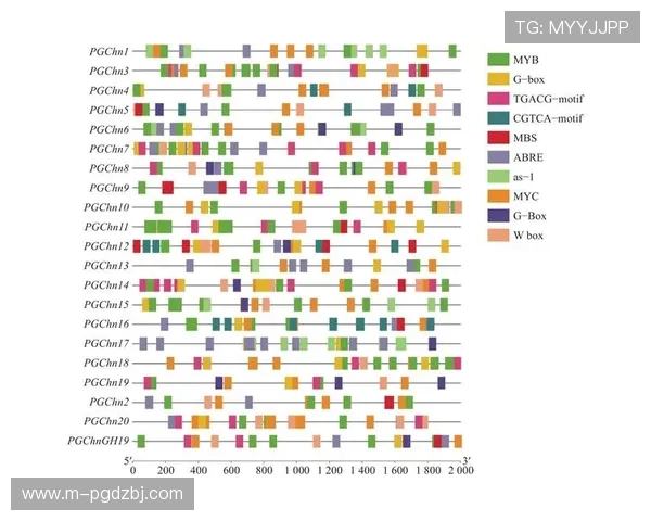 PG电子官网投注常见问题解答，解决新手玩家的疑虑与操作难题实现顺畅体验